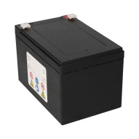 Landport LP12-12 T2 12V 12Ah AGM Bleiakku VdS 6,3 mm Faston 
