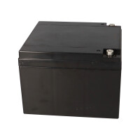 Landport LP12-24 T12 12V 24Ah AGM Bleiakku VdS 5