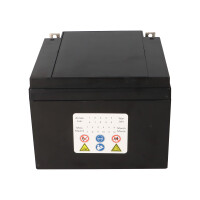 Landport LP12-24 T3 12V 24Ah AGM Bleiakku VdS 4