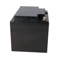 Landport LP12-45 T6 12V 45Ah AGM Bleiakku VdS 4