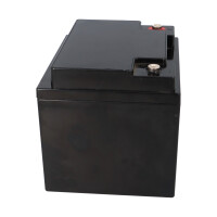 Landport LP12-50 T6 12V 45Ah AGM Bleiakku 5