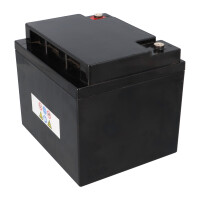 Landport LP12-50 T6 12V 45Ah AGM Bleiakku 7