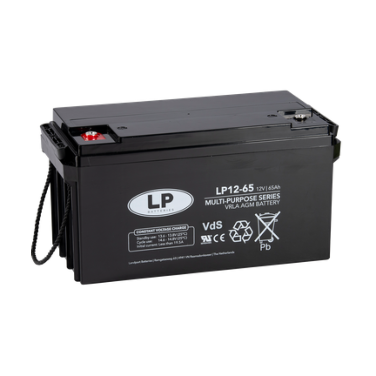 Landport Bleiakku 12V 65Ah AGM Batterie NSA LP12-65 T6 VDS