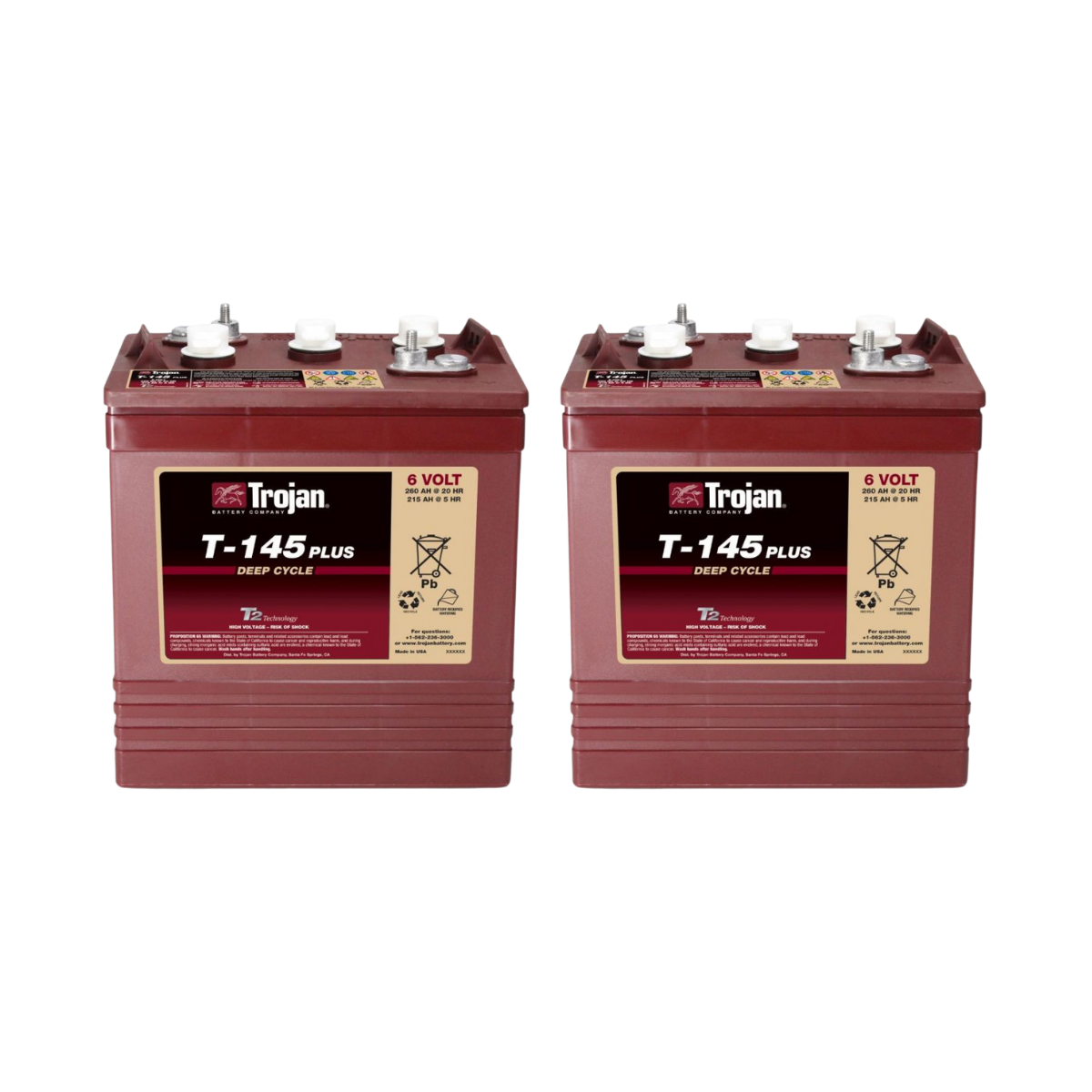 2x Traktionsbatterie Trojan T-145 Plus 6V 260Ah Deep Cycle ELPT-Anschluss