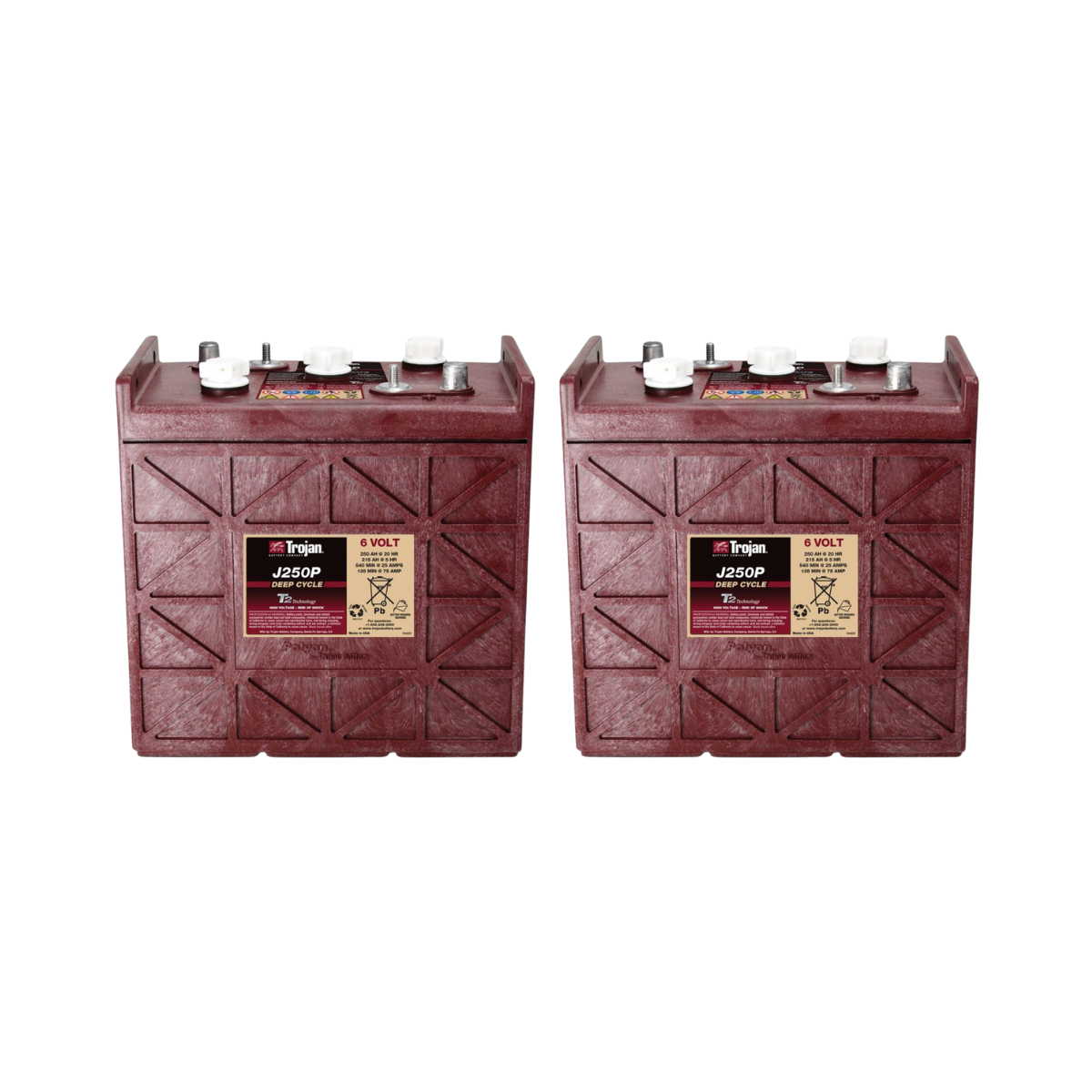 2x Traktionsbatterie Trojan J250P 6V 250Ah Deep Cycle DT-Anschluss