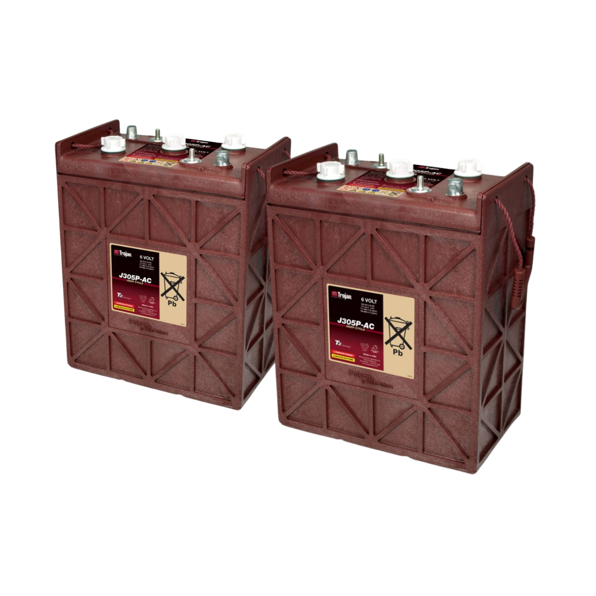 2x Traktionsbatterie Trojan J305P-AC 6V 330Ah Deep Cycle DT-Anschluss