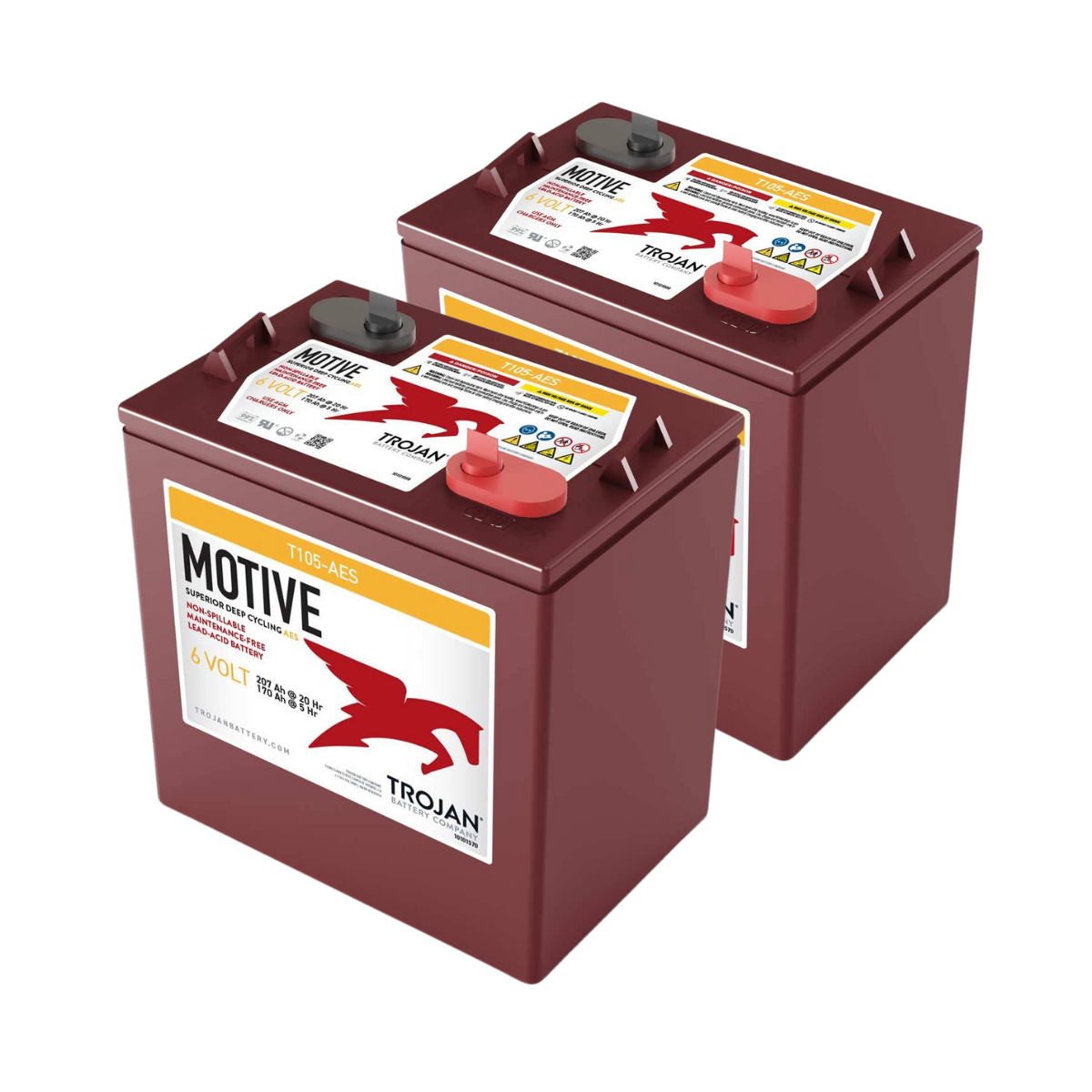 2x Trojan T-105 6V 207Ah Deep Cycle AGM Traktionsbatterie