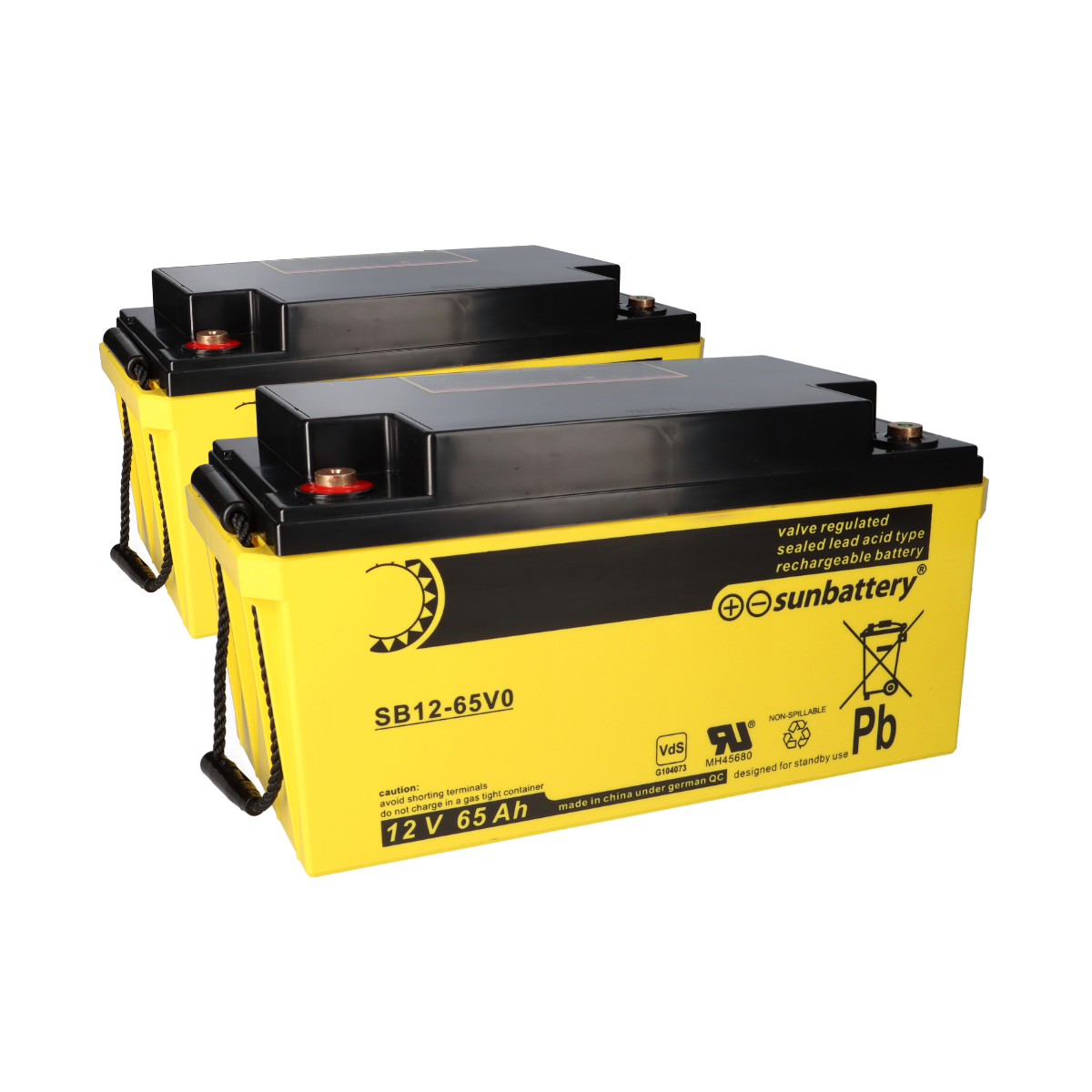 Akku passend für ESSER 581732 2x 12V 65 Ah