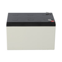 Yuasa NP12-12 AGM-Bleiakku 12V 12Ah VdS – Faston F2 6,