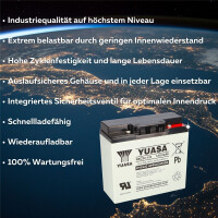 Yuasa Blei-Akku REC22-12I Pb 12V 22Ah Zyklenfest, M5 Innenge