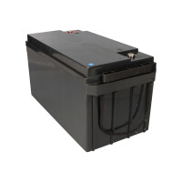 Kung Long WPL65-12AN 12V 65Ah AGM Bleiakku M6 Longlife 7