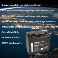 B-Ware Q-Batteries 12LCP-19 12 V 19 Ah AGM Deep-Cycle-Akku 3