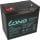 18x USV Akku WPL55-12N 12V 55Ah