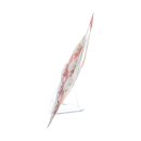 Panasonic Lithium CR2025 Knopfzelle 6er Blister