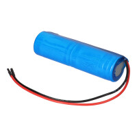 Notleuchten-Akku 2,4V 4,0Ah NiCd L1x2 D-Zellen mit Kabel 6