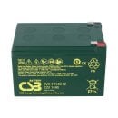 Zyklenfester Blei-Akku 12V 14Ah mit Faston F2 Anschluss