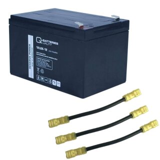 USV-Akku 18 x 12LSX-12 für Sicherheitsbeleuchtung Inkl. Zubehör