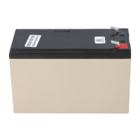 EnerSys DataSafe 12HX35-FR High-Rate AGM-Akku 12V 7,9Ah &nda