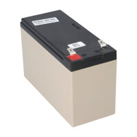 EnerSys DataSafe 12HX35-FR High-Rate AGM-Akku 12V 7,9Ah &nda