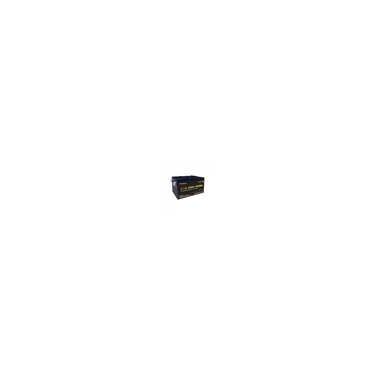 Perfektium Lithium Batterie LiFePO4 51.2V 200Ah Smart BMS mit Bluetooth