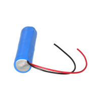 Notleuchten-Akku 2,4V 4,0Ah NiCd L1x2 D | L21NICD4000 5