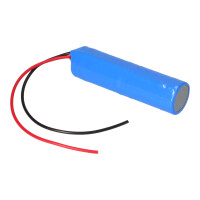 Notleuchten-Akku 2,4V 4,0Ah NiCd L1x2 D | L21NICD4000 6