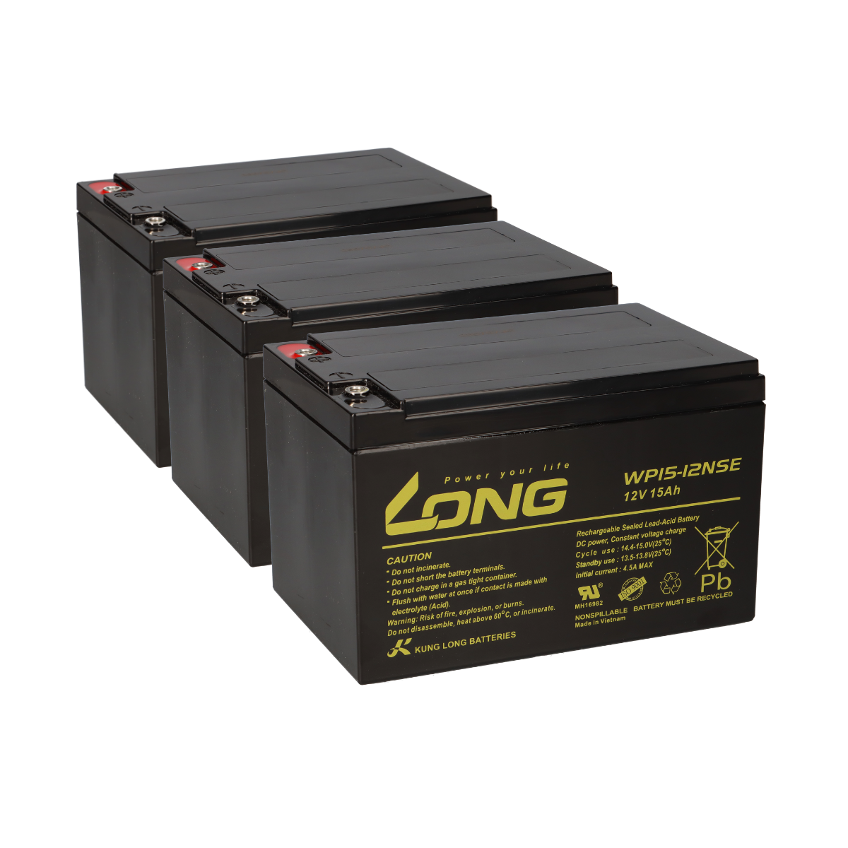 Kung Long WP15-12NSE Akku-Satz 36V 15Ah für E-Roller Mars 600B – 3x 12V AGM M5