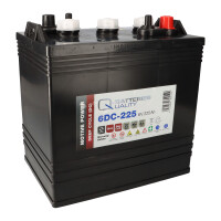 48V 225Ah Akku-Satz für E-Z-GO Golf Cart | 8x Q-Batteri
