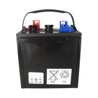 Batterie-Satz 24V 225Ah passend für Golfcar Golf Cart E