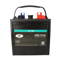 DC LP145LP 2er Set 12V 262Ah Deep Cycle Batterie | Alternati