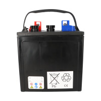 DC LP145LP 2er Set 12V 262Ah Deep Cycle Batterie | Alternati