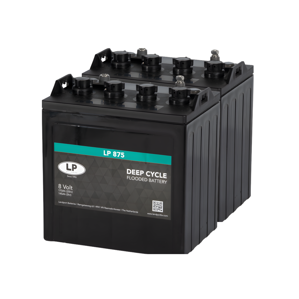 2x Landport LP 875 8V 170Ah Deep Cycle Traktionsbatterie (16V)