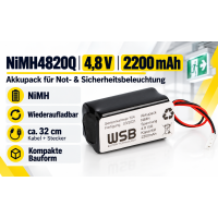 Notleuchten-Akku NiMH4820Q &ndas productbox 12_2nd