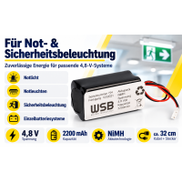 Notleuchten-Akku NiMH4820Q – 4,8 V NiMH 2,2 Ah mit 30 