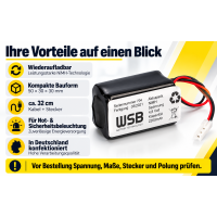 Notleuchten-Akku NiMH4820Q – 4,8 V NiMH 2,2 Ah mit 30 