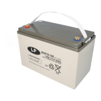 Landport LP EVX12120 12V 120Ah Deep-Cycle AGM-GEL Batterie 6