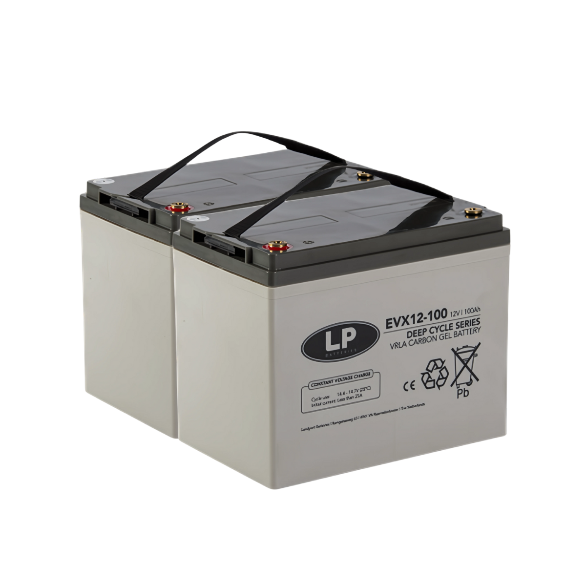 Blei Akku 2x 12V 100Ah passend für 24V Rollstuhl Elektromobil uvm