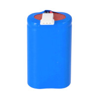 RPower LiFePO4 Akku LFP3212.K für Notbeleuchtung 3,2 V 