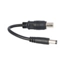 Kabeladapter Cinch auf DC2.1 – Kompatibel mit Phylion Wall-ES Ladegerät