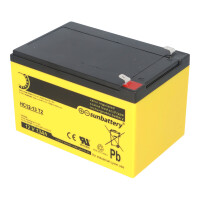SUN Battery High Cycle AGM Bleiakku zyklenfest 12V 13Ah 6