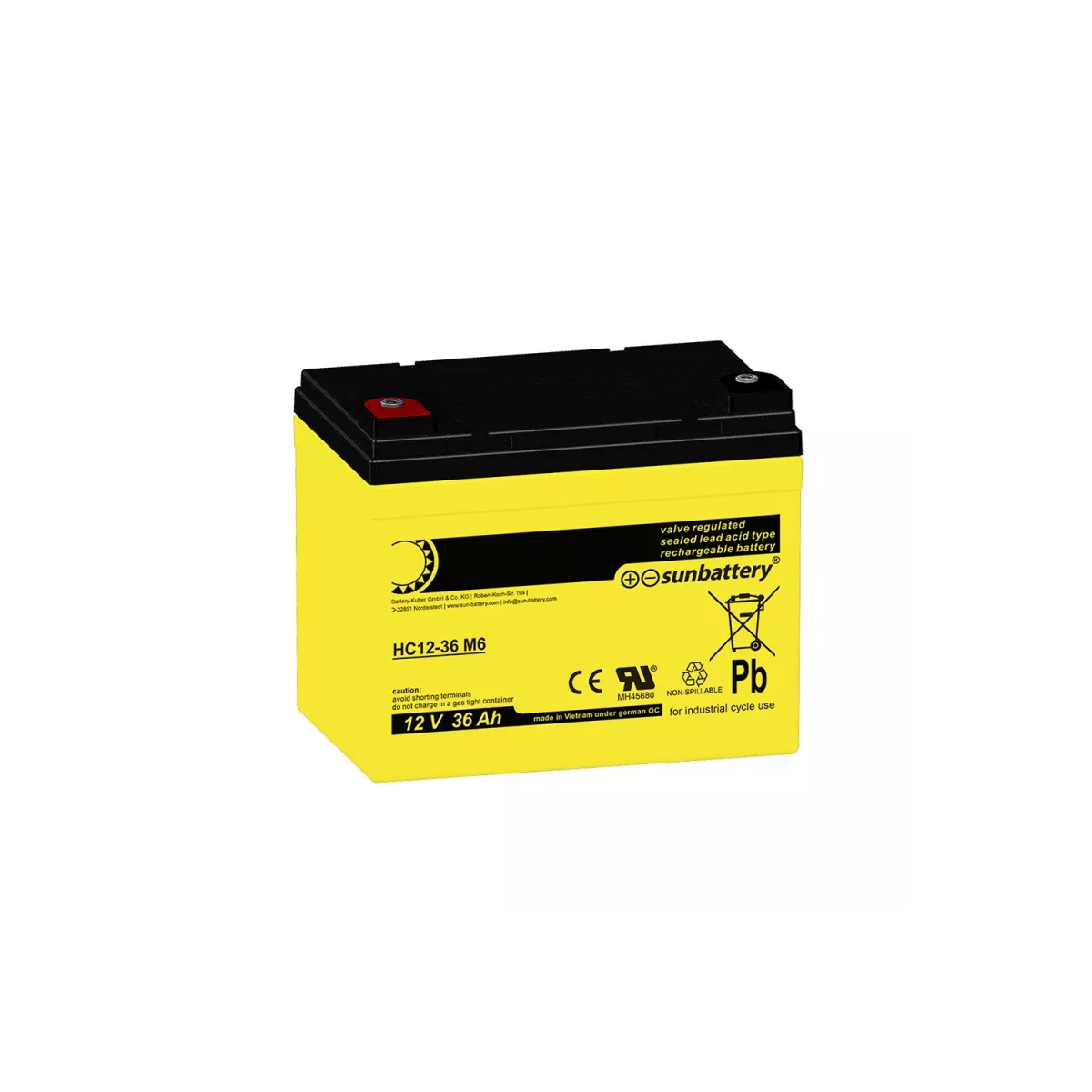 SUN Battery AGM Akku 12V 36Ah High Cycle zyklenfest – F-M6 Schraubanschluss (195×130×168mm)