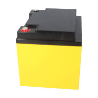 SUN Battery High Cycle AGM Bleiakku zyklenfest 12V 50,2Ah M6