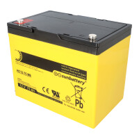 SUN Battery High Cycle AGM Bleiakku zyklenfest 12V 75Ah M6-S