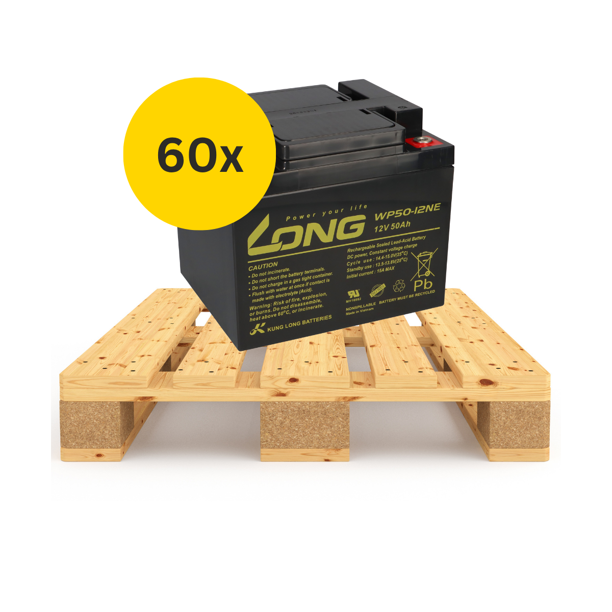 60x Kung Long WP50-12NE 12V 50Ah AGM Akku – Palette