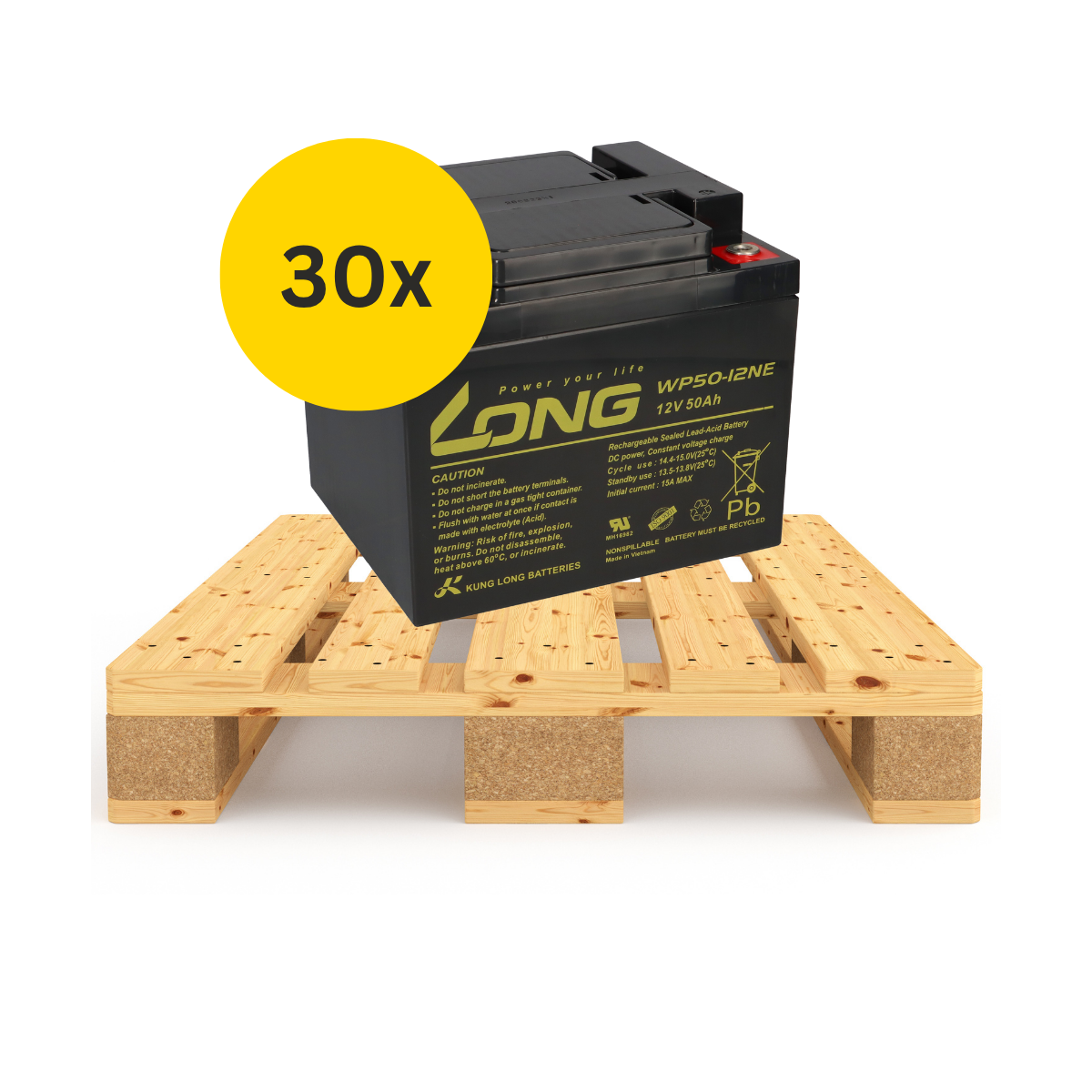 30x Kung Long WP50-12NE 12V 50Ah AGM Akku – halbe Palette