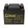 30x (1/2 Palette) Kung Long Akku 12V 50Ah Pb Batterie AGM WP50-12NE zyklenfest