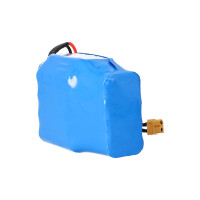 E-Board-Akku für Razor, Viron, Bluewheel – 36 V 6