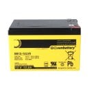 B-Ware SUN Battery SB12-12LV0 AGM Akku 12V 12Ah Blei-Akku mit VDS