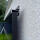 1720 Wp Fassaden PV Set mit 4x 450 W Full Black Solarmodulen & Montagepaket mit 0% Mwst. nach §12 Abs. 3 UstG