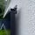 900 Wp Fassaden PV Set mit 2x 450 W Full Black Solarmodulen & waagerechtem Montagepaket mit 0% Mwst. nach §12 Abs. 3 UstG